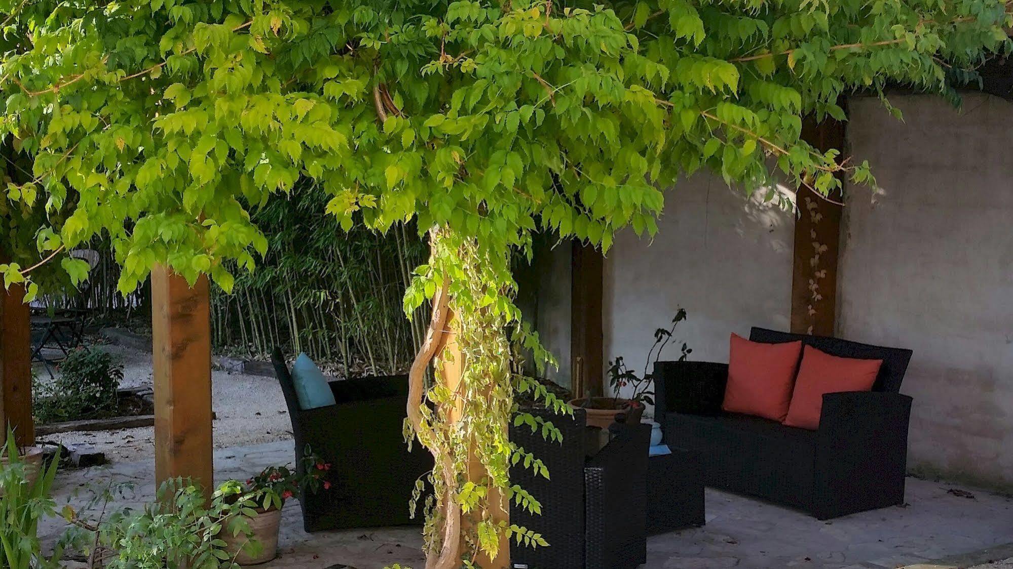 Hotel Le Synaya Sanary-sur-Mer Exterior foto